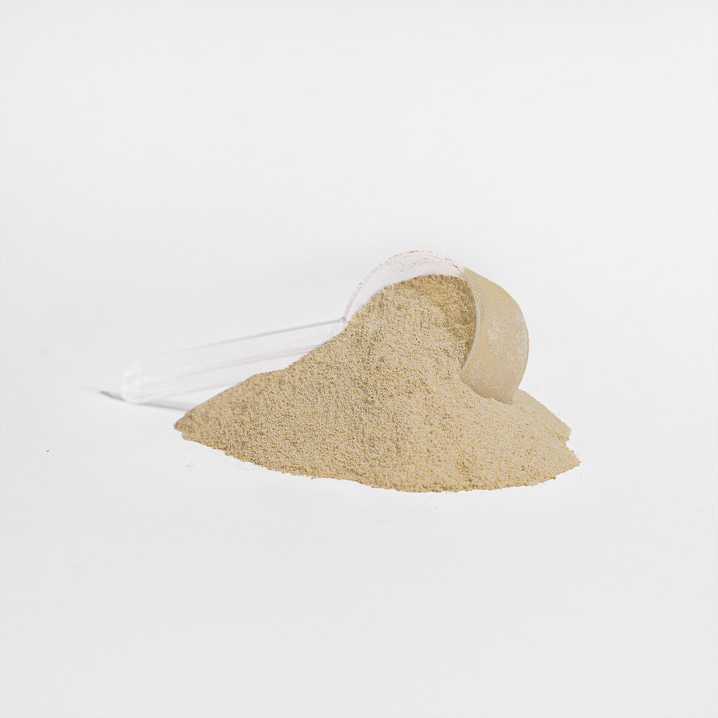 Plant Protein (Vanilla)